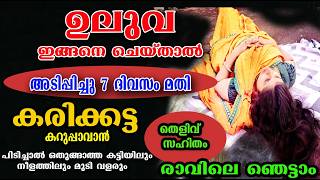 7ദിവസം കൊണ്ട് മുടി വളർത്താം/ഇങ്ങനെ ചെയ്താൽ /hair care uluva &alovera /poppy vlogs /malayalam