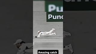 What a Amazing catch.#shorts#australiacricket#uk#ipl#psl#trending