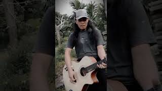 Satu Rasa Cinta | lispsing Cover #arif #laguviral