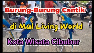 PEJALAN KAKI SEMPAT BERHENTI || BURUNG BURUNG CANTIK DI SEKITAR MAL LIVING WORLD KOTA WISATA CIBUBUR