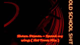 Shawn Desman   Spread my wings  Hot Tunes Mix