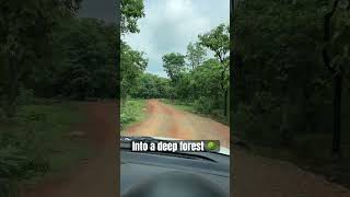 Deep Forest Drive  #offroad #offroading #marutisuzuki #dzire #forest #forestlife #shorts #travel