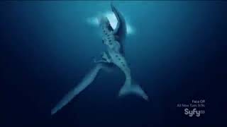 Sharktopus vs Pteracuda - Fight Scenes (HD Syfy)