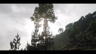 Real Natural Beauty Panchamul Syangja Nepal