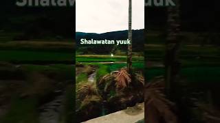 Shalawatan yuk #shalawat #short#nabimuhammadsaw