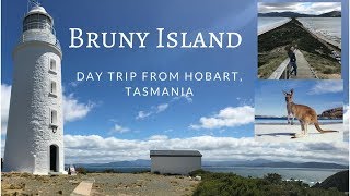 Tasmania VLog: Day trip to Bruny Island (The Neck, Cape Bruny Lighthouse)