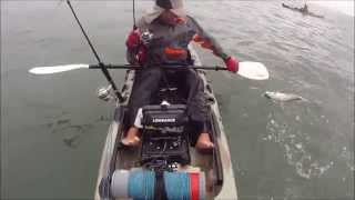 Pesca de kayak show VIDEO 11