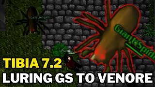 Luring GS To Venore! Nostalgic Moments (Tibia 7.2)