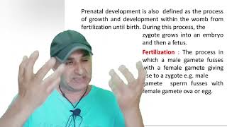 PRENATAL STAGE : NET JRF, SET, CTET, KVS, UG, PG