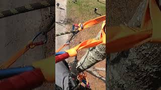 QUICK FRICTION IN THE TREE #speedline #chainsaw #rope #treeclimbing #treework