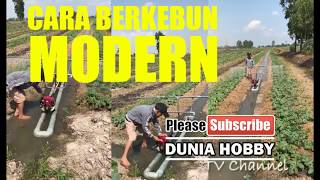 LUAR BISA...!!! Mesin potong rumput jadi alat untuk menyiram tanaman dikebun