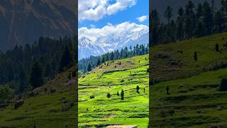 Nanga Parbat From Rama #travel #mountains #pakistan #nature #gilgitbaltistantourism #baltistan