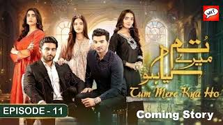 Tum Mere Kya Ho Episode 11 Review | #TumMereKyaHoEp11  |Adnan Raza Mir - Ameema Saleem | What & How