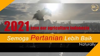 USAHA BERAS 2021 SEMOGA LEBIH BAIK LAGI I SELAMATKAN PETANI INDONESIA