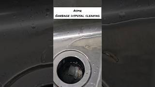 ASMR GARBAGE DISPOSAL CLEANING! SATISFYING TO WATCH / CLEAN WITH ME