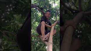 video lucu bikin ngakak hiburan warga +62 #videolucu #meme #funnyvideos #shorts