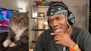 KSI is Losing it 💀