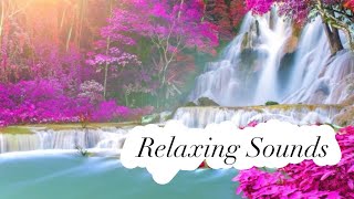 Relaxing Sounds #meditation