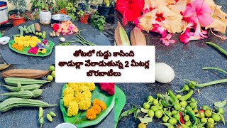 పోలుపాడ్యిమికి గార్డెన్లో విరబూసిన పువ్వులు Ist time కొస్తున్న కొత్త verieties అదిరిన పంట