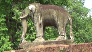 Angkor Temples with Elephants