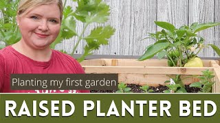 Assembling a raised garden bed l Planting veggies and herbs