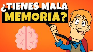 TECNICAS de MEMORIZACION a LARGO PLAZO 🧠 (Fáciles de Aplicar)