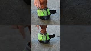 Getting Your Best Cavallo Hoof Boot Fit!