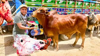 eid mobarak | eid ul adha qurbani | cow | beef | meat