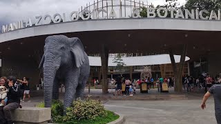 Manila Zoo Full Tour with Hailey and Sofey | Manliguez Twins