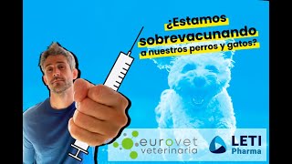 ¿Estamos sobrevacunando a nuestros perros y gatos? #Veterinaria #Veterinario #Perros #Gatos