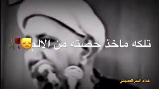 الدكتور أحمد الوائلي قمه الروعه