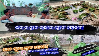 How to make a small pond on the roof of the house ! pond making ! little pong on roof of the house!