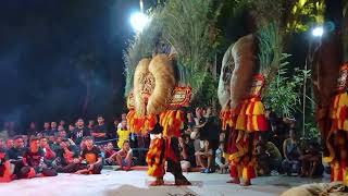 SOLAH KEREN DADAK MERAK BESAR REOG PONOROGO BARONGAN BESAR#dadakmerak #reogponorogo