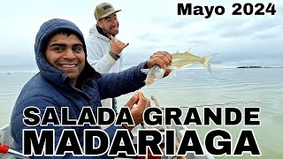 Pejerreyes en Madariaga #pesca #pejerrey #saladagrande