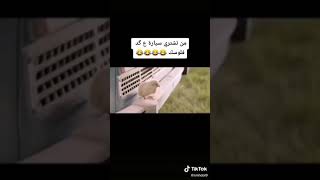 مجموعه مقاطع تيك توك مضحكه