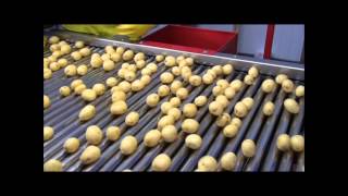 Tong Packhouse Washing Line for potatoes