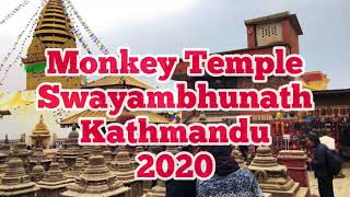 The Ultimate Monkey Temple | Swayambhunath, Kathmandu| Visit Nepal 2020