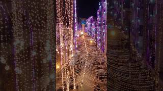 Chagla Street Ki lighting 12 Rabi ul Awal in karachi @beepdottv #rabiulawal