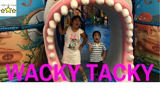 GIANT SLIDE Indoor Colorful PLAYGROUND FOR KIDS Family Fun at Wacky Tacky. 4K