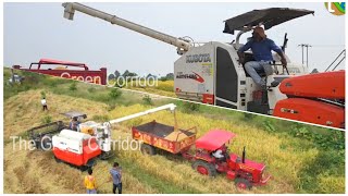 Automated Paddy Harvester Made Harvesting Process Easy and Time Saving ଆଧୁନିକ ଧାନ କଟା ଯନ୍ତ୍ର #kubota