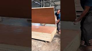 Plywood Board Manufacturing In India | Hidden Star Vlog | Hidden Star Of India