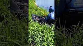 cara macing yang aneh | "fishing videos" | #shorts