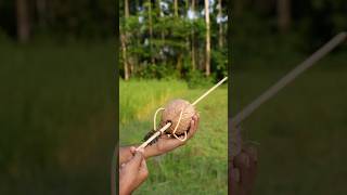 Bamboo creation with coconut slingshot #greenscreen #shorts #slingshots #bamboo