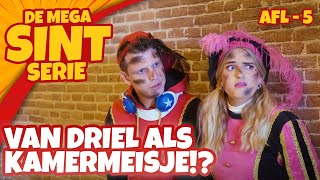 Sinterklaasserie 2022! 🎁 - aflevering 5 - MENEER VAN DRIEL ALS KAMERMEISJE