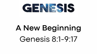 A New Beginning - Genesis