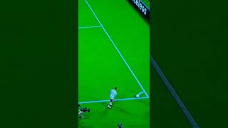 BARELLA VOLLEY