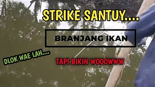 menangkap ikan Strike Tangkul Santuy  || Anco ikan || branjang ikan || nets fishing