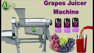 Industrial Grapes Juicer Machine In APS Industries Ahmedabad Gujarat