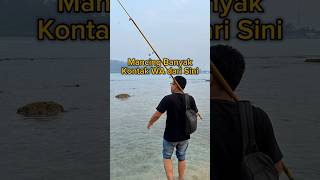 Mancing Banyak Kontak WA dari Sini