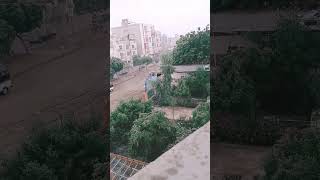 Rainfall | Barish #shorts #youtubeshorts #viral #rain